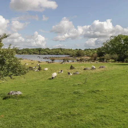 Dom wakacyjny Glebe House Ballinrobe